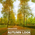 Cover - Autumn Look