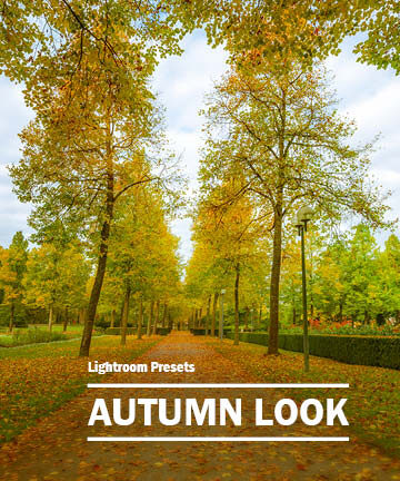 An Autumn Look